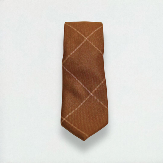 Milton Checkered Skinny Tie in Brown